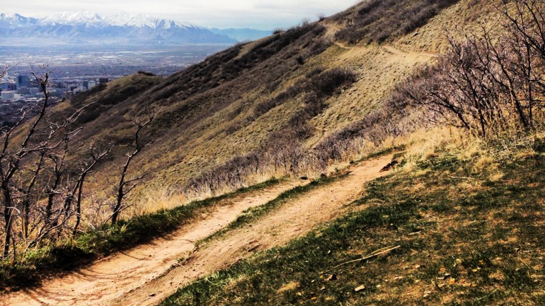 72 Hours of Dedicated Living, An Ode to Utah in the Spring