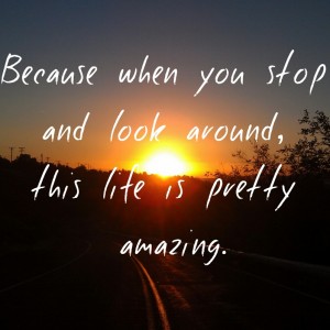 Stop-and-Look-Around