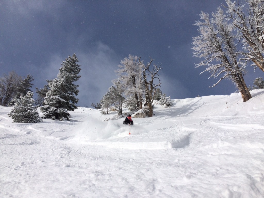 Solitude Mountain Resort, Utah - Best skiing in Utah