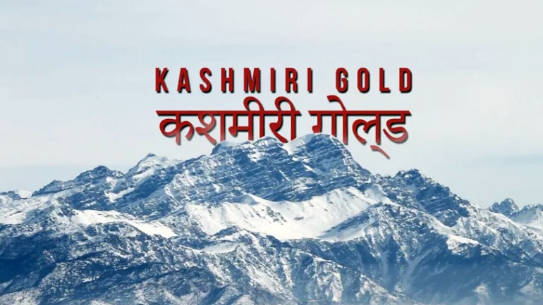 Skiing Deep Pow in India: Kashmiri Gold!