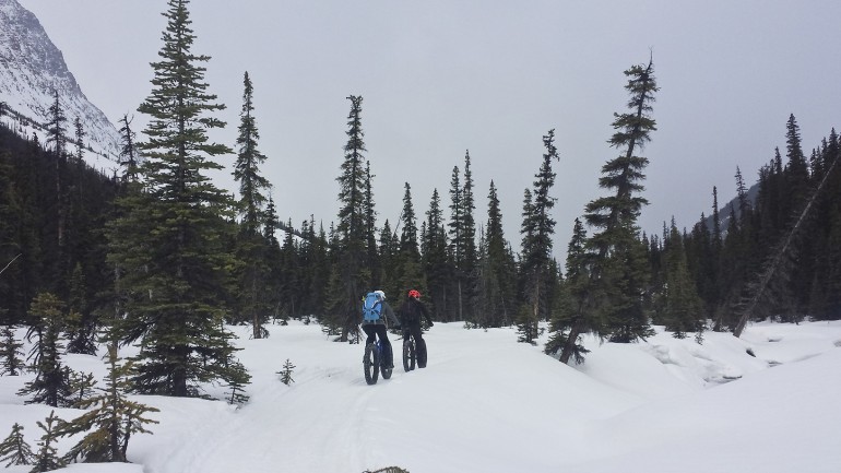 Nameday Backcountry Fat Bike Mission: Tonquin Valley Trail